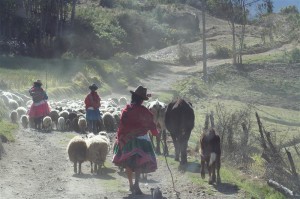 Road to Ischinca, Peru